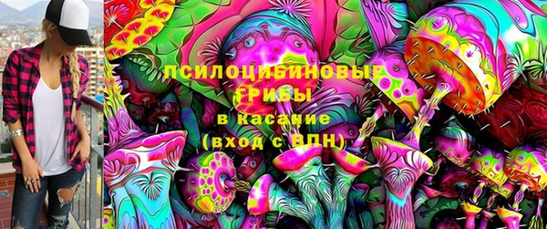 амф Алексин