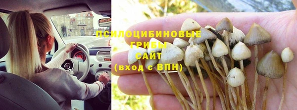 тгк Алексеевка